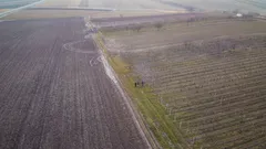 Na našich poliach každý deň rastie skrytá hrozba, ktorá ničí úrodu. Ako sa to odrazí na našich peňaženkách?
